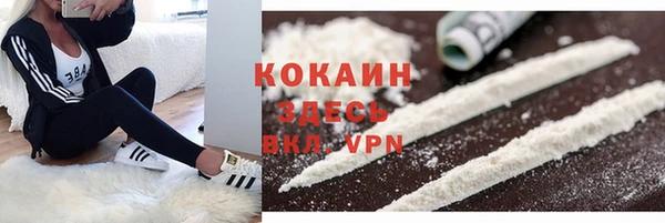 гидра Армянск