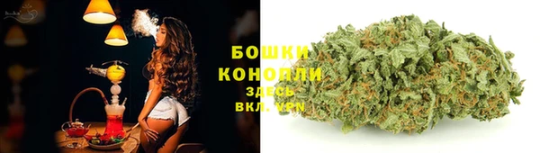 гидра Армянск