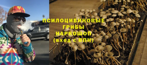 МДПВ Аркадак