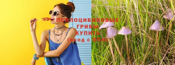 МДПВ Аркадак